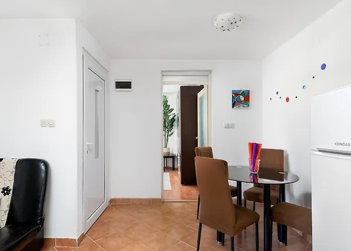 Tatiana-murter-centar *