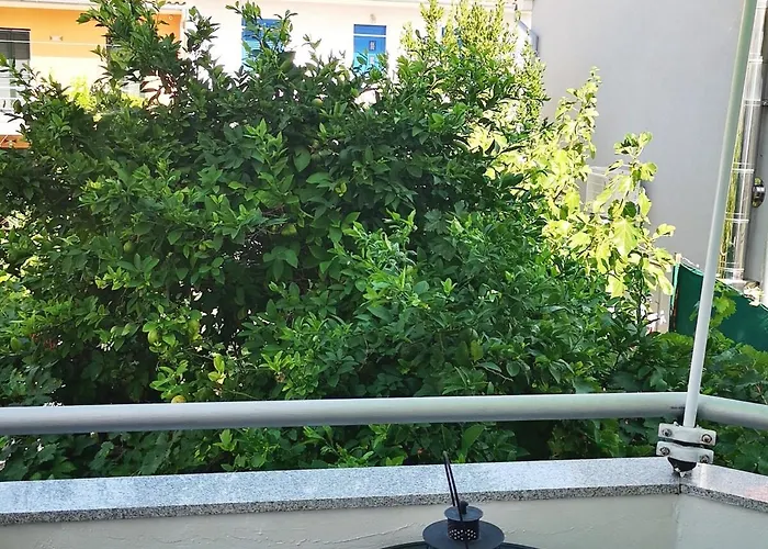 Tatiana-murter-centar