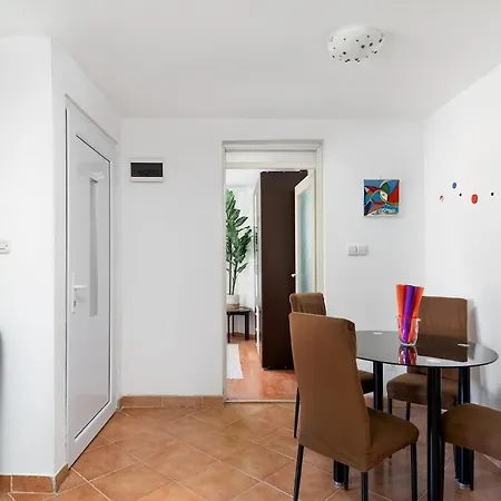 Tatiana-murter-centar *