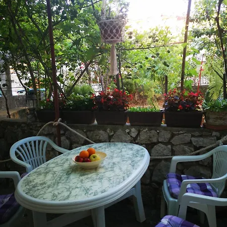 Tatiana-murter-centar Μούρτερ