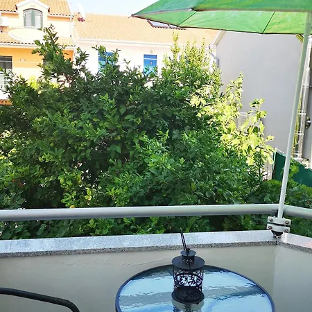 Tatiana-murter-centar