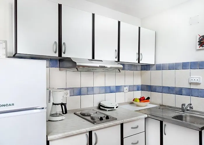 Tatiana-murter-centar